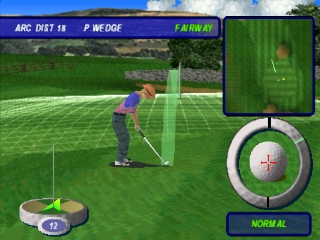 Actua Golf 3