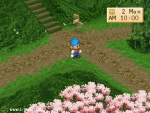 Harvest Moon: Back To Nature (Bokujou Monogatari Harvest Moon)